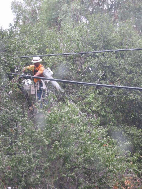 Guy outside window! BOO!